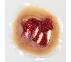 SW015_DegloveHand_MeduimSkin_720x4