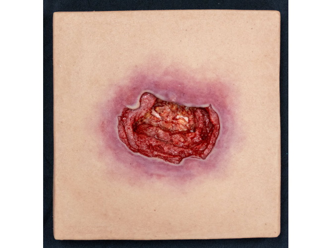 CTS-004_ST4__TrainingMAT_Light_720x