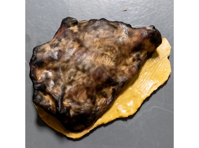 CTS-UP4_unstageable_PLUG-2