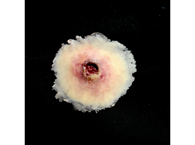 SW001_GSW_ENTRY_Small_fbdb28f8-97b8-439f-a43f-97ca4d8bcaf1_1800x18003