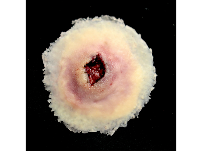 SW002_GSW_ENTRY_Large_188f76e0-3103-496a-aa5b-e28084dd9fba_1800x18003