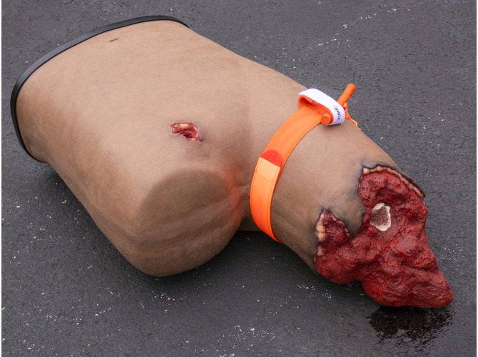 Techline_Cat_Leg_Amp_B80_dk-sm2