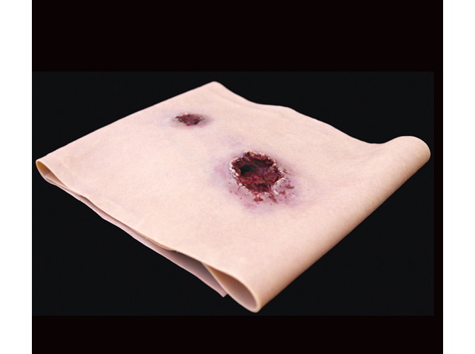 010_GSW_leg_Light_primary