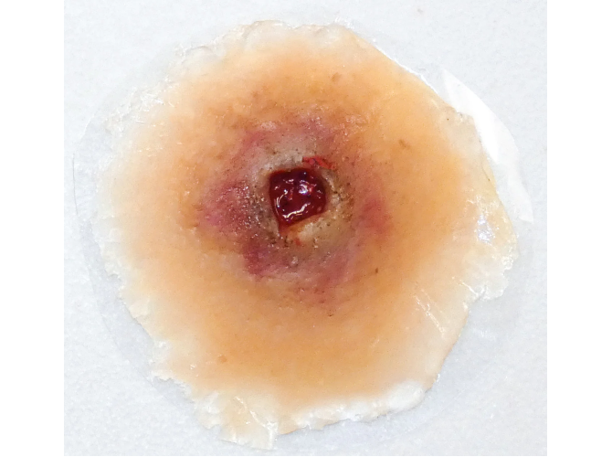 SW001GunshotEntrySmall_MediumSkin_1800x18004