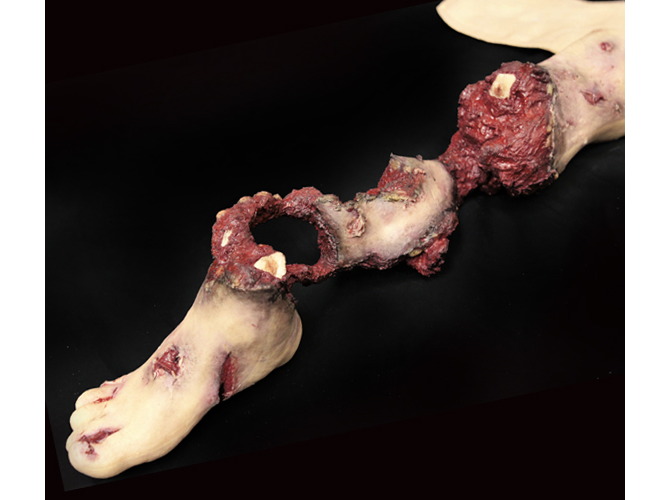 906_partLeg_R_Hardbone_primary