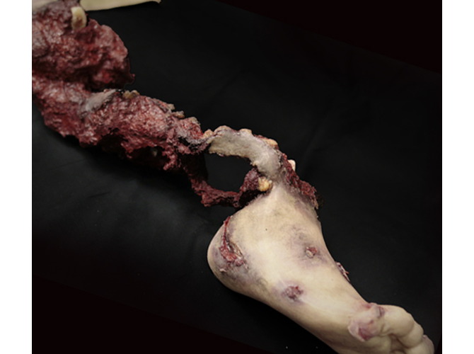 906_partLeg_R_Hardbone_2