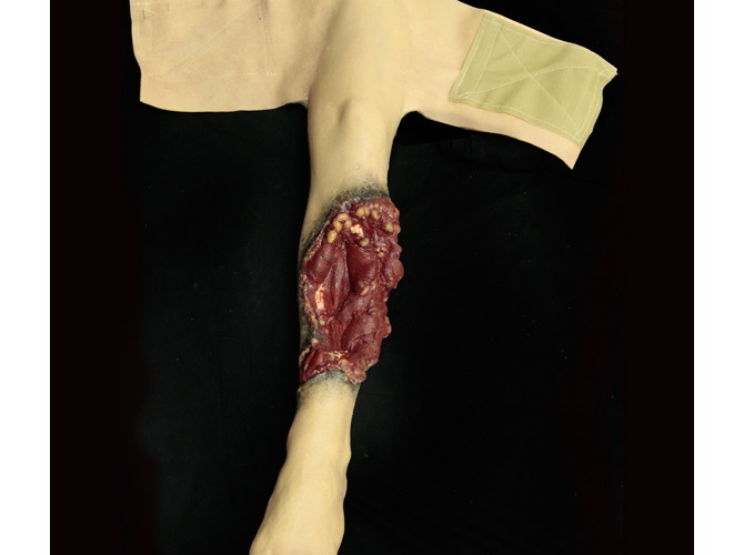 752_partLrg_left_primary