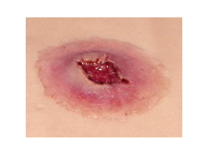 GSW-entry-Large_1800x1800