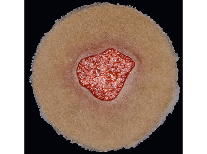 CS013-Granulation_SelfAdhesiveDark