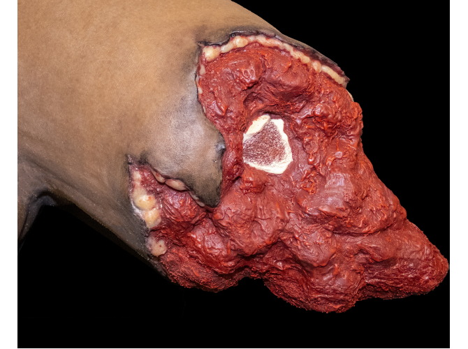 B80_DarkSkin_PT-TaskTrainer1