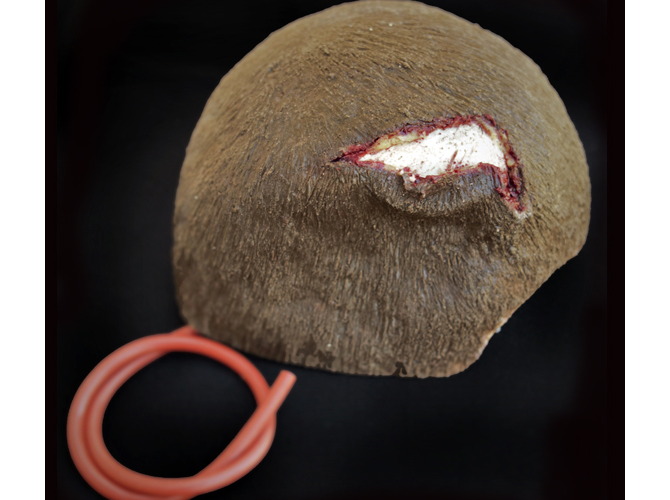 007_headWound_primary