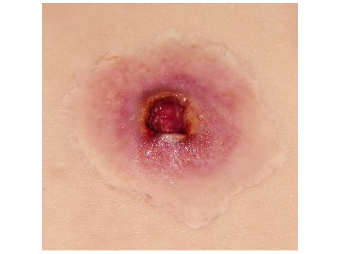 GSW-entry-small_1800x18001