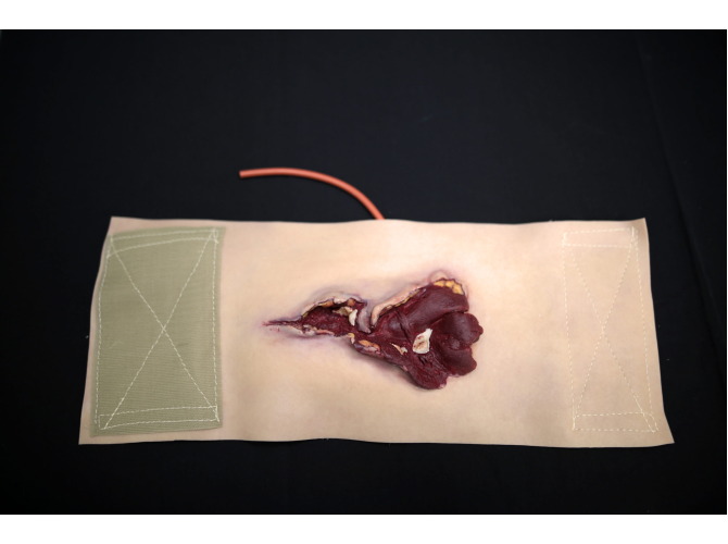 908_GSW-bicep_Primary