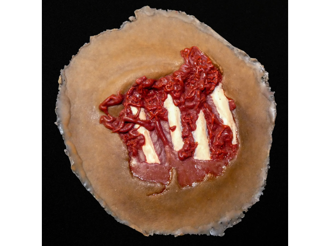 sw015_deglovedHND_DK_1800x18003