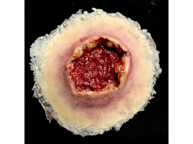 SW004_GSW_EXIT_Large_ef46dbb3-d650-43cc-a40d-60809ac49c4a_1800x1800