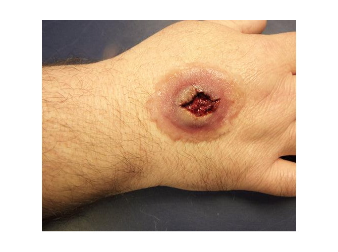 GSW-entry-Large2_1800x18002