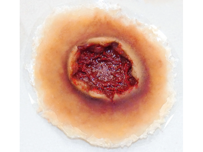 SW004GunshotExitLarge_MediumSkin_1800x18005