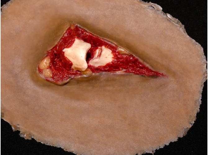 DK_compoundSticky_SW013_a_1800x18003