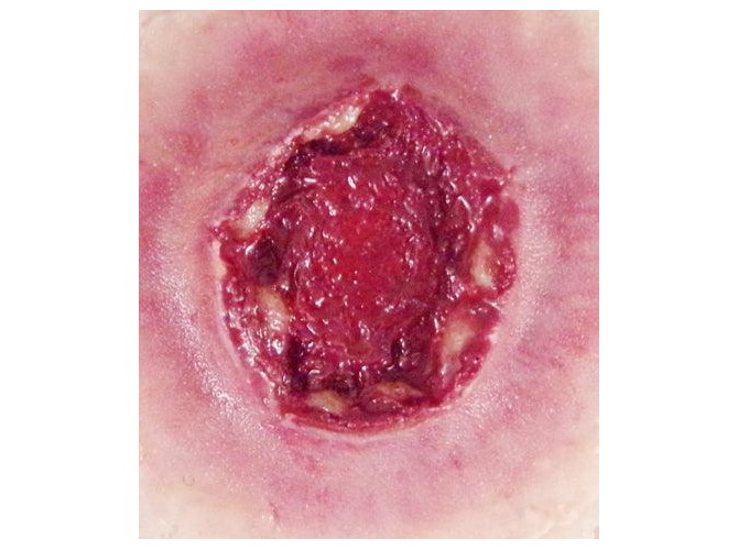 GSW-Exit-Large3_1800x18004