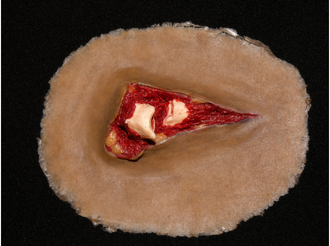 DK_compoundSticky_SW013_1800x18004