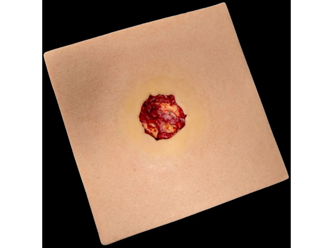 9PwQzp5m_3453e15a-36bf-4852-9e4f-181d16404791_1800x1800