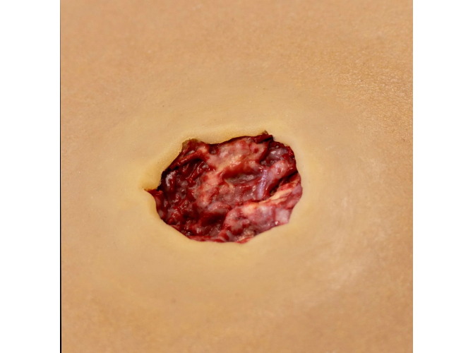 0mj6GrUu_7bfb7902-9ad1-4232-aba2-14ee2716da2e_1800x1800