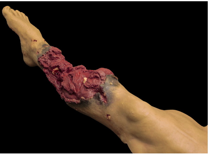 052_PT-R-Leg_MEDIUM-SkinTone