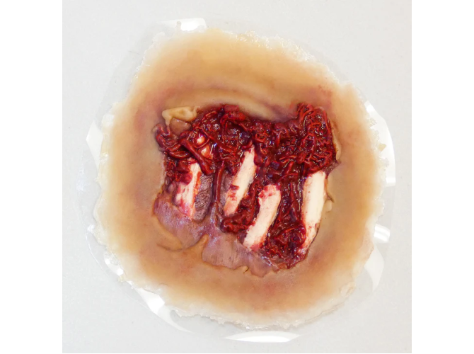 SW015_DegloveHand_MeduimSkin_720x4