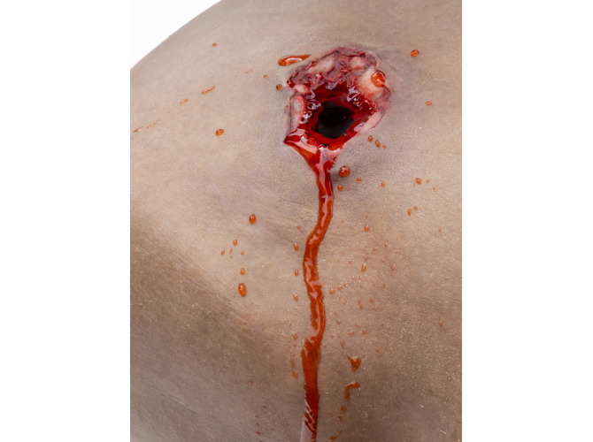 P1010830-B80_GSW_flow