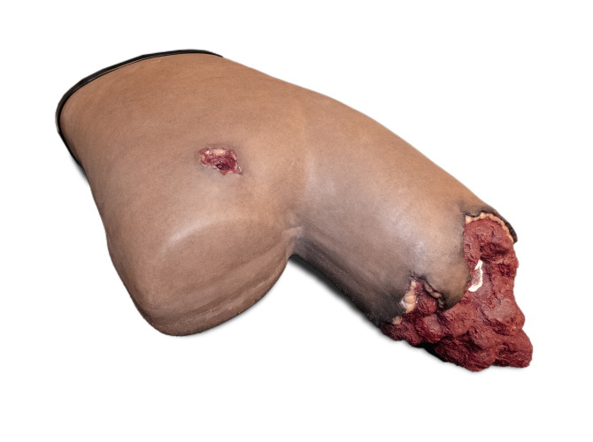 B80_DarkSkin_PT-TaskTrainer