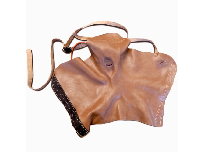 907-Shrapnel_Axillary-R_DK-sqr