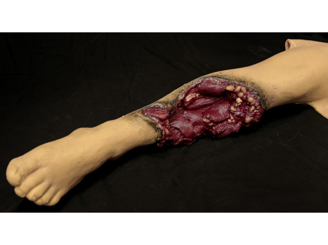 752_PT_amp_Leg_Left_Medium