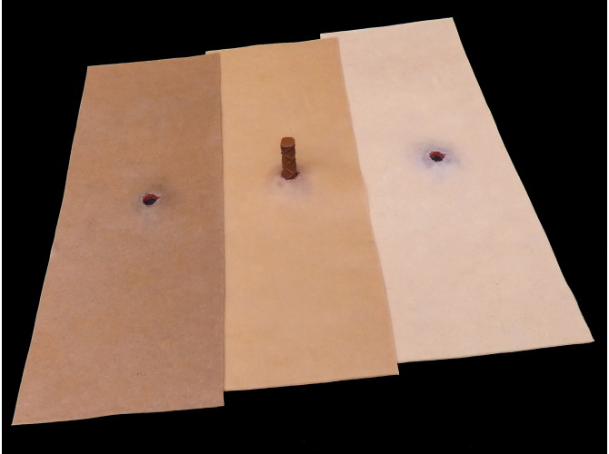 003_ImpaledObject_3SkinTones1