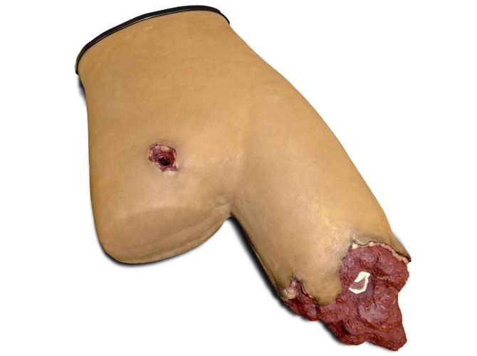 B80_Medium-Skin_PT-TaskTrainer