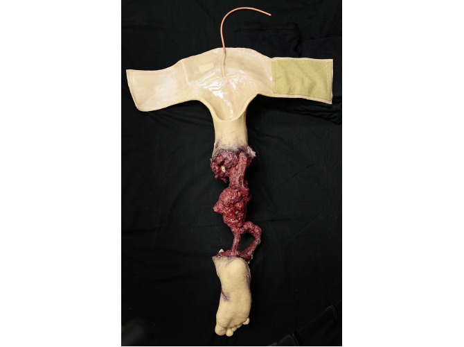 906_partLeg_R_HB_Back-sm