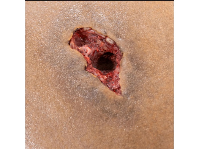 cKfyvT3K_d5763e76-32a7-426c-a198-bddcc21171d6_1800x1800